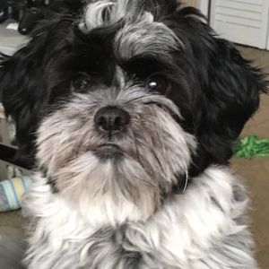 Meet your Posher, Jamie